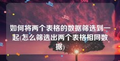 如何将两个表格的数据筛选到一起(怎么筛选出两个表格相同数据)