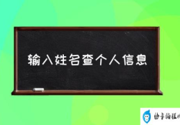 输入姓名查个人信息(个人可以查全国人口吗？)