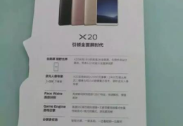 vivo x20参数配置详情(vivox20屏幕多大尺寸)