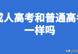 成人高考是什么意思(成人高考与普通高考的区别在哪里)