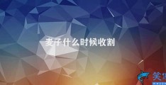 麦子什么时候收割(麦穗成熟度判断)