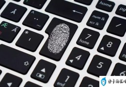 win11怎么设置指纹解锁（window10怎么设置指纹密码）