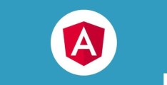 Angular依赖注入体系中的基本概念是什么