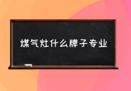 煤气灶什么牌子专业(燃气灶哪个牌子好?)