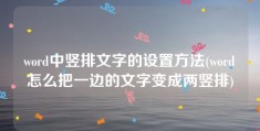 word中竖排文字的设置方法(word怎么把一边的文字变成两竖排)