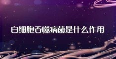 白细胞吞噬病菌是什么作用(大家可以看看)