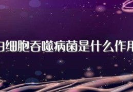 白细胞吞噬病菌是什么作用(大家可以看看)