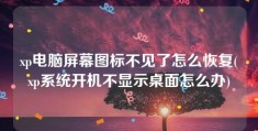 xp电脑屏幕图标不见了怎么恢复(xp系统开机不显示桌面怎么办)