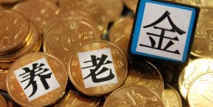 关于养老金最新消息(2021年养老金上涨多少)