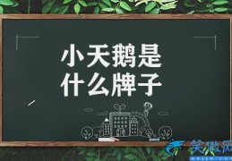 小天鹅是什么牌子(洗衣机第一股小天鹅)