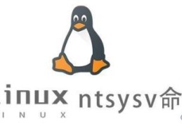 Linux中ntsysv命令怎么用