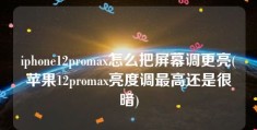 iphone12promax怎么把屏幕调更亮(苹果12promax亮度调最高还是很暗)