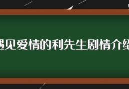 遇见爱情的利先生剧情介绍(遇见爱情的利先生剧情介绍描述)