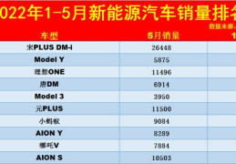 电动汽车销量排行榜(新能源汽车销量排名)