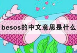 bemo是什么(besos的中文意思是什么)