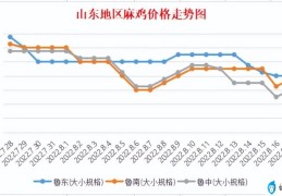 山东地区鸡苗价格行情(山东麻鸡价格最新行情)