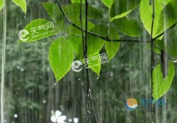 安徽周末大别山区和南部有强降雨(,梅雨季雨水频繁谨防地质灾害)