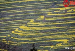 江西有哪些有名的旅游景点？(江西著名景点有哪些)