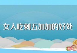 女人吃刺五加加的好处(女人吃刺五加加的好处是什么)