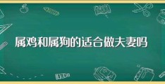 属鸡和属狗的适合做夫妻吗(属鸡和属狗做夫妻好吗)