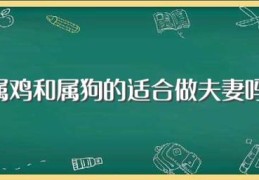 属鸡和属狗的适合做夫妻吗(属鸡和属狗做夫妻好吗)