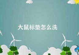 大鼠标垫怎么洗(大鼠标垫的清洗方法)