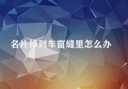 名片掉到车窗缝里怎么办(寻找车窗缝中的名片)