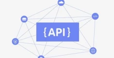 PHP调用API接口详解：从基础到实践