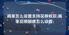 商家怎么设置支持花呗收款(商家花呗额度怎么设置)