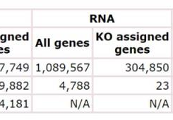 如何分析KEGG Genes 数据库