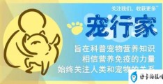 什么样的酸奶可以给狗狗喝(喝酸奶时给狗子留点)