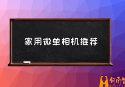 有什么推荐的入门级微单？(家用微单相机推荐)