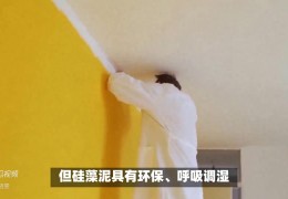 硅藻泥和乳胶漆哪个好(乳胶漆VS硅藻泥选择建议)