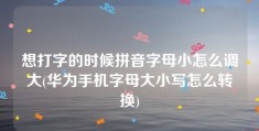 想打字的时候拼音字母小怎么调大(华为手机字母大小写怎么转换)