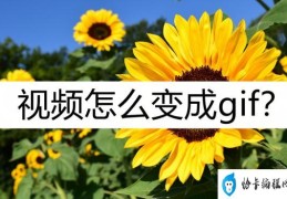 视频怎么变成gif表情包(几种视频制作成gif的方法)