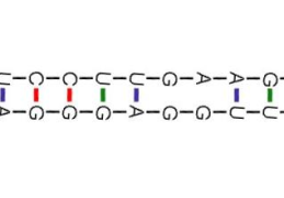 RNA二级结构表示法Dot-Bracket notation如何理解