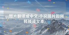 qq图片翻译成中文(小说图片如何转换成文本)