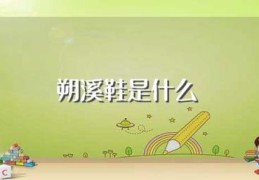 朔溪鞋是什么(朔溪鞋介绍)