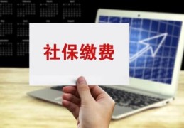 社保基数4121是最低的吗(社保缴费基数4121是什么档次)