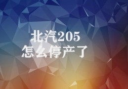 北汽205怎么停产了(北汽205停产原因分析)