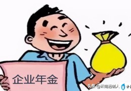 什么是职业年金(企业年金有啥用)