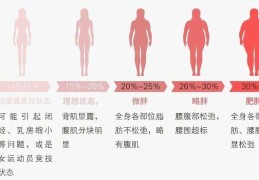 体脂率在30女生算胖吗(体脂率30%什么概念女性bmi)