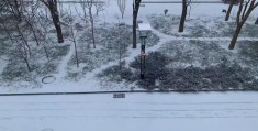 北京迎虎年首场降雪(大地一片银装素裹)