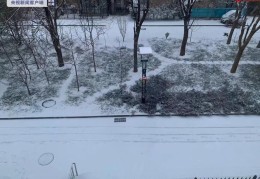 北京迎虎年首场降雪(大地一片银装素裹)