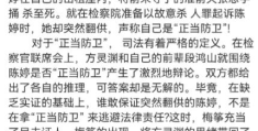 悬疑剧《正当防卫》讲述了什么故事(李沐风是怎样的人)