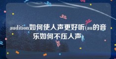 audition如何使人声更好听(au的音乐如何不压人声)