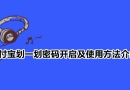 支付宝怎么设置6位密码(支付宝密码怎么设置)