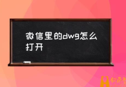 DWG文件怎么打开？(微信里的dwg怎么打开)