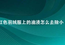 红色羽绒服上的油渍怎么去除小窍门(如何去除红色羽绒服上的油渍)