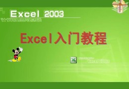 excel办公软件基础知识(一般办公软件excel需要掌握哪些)